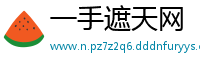 一手遮天网
